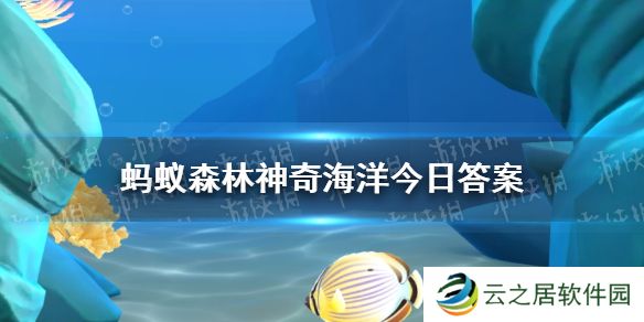 猜一猜金钱鱼之所以得名是因为 神奇海洋12月26日答案
